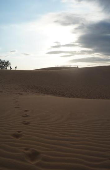 The Red Sand Dunes